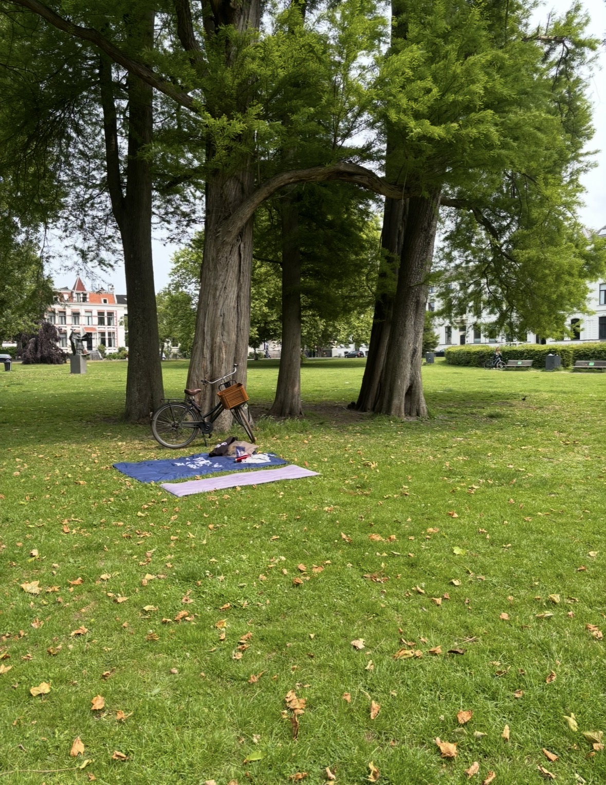 Sunday Park Yoga session 3