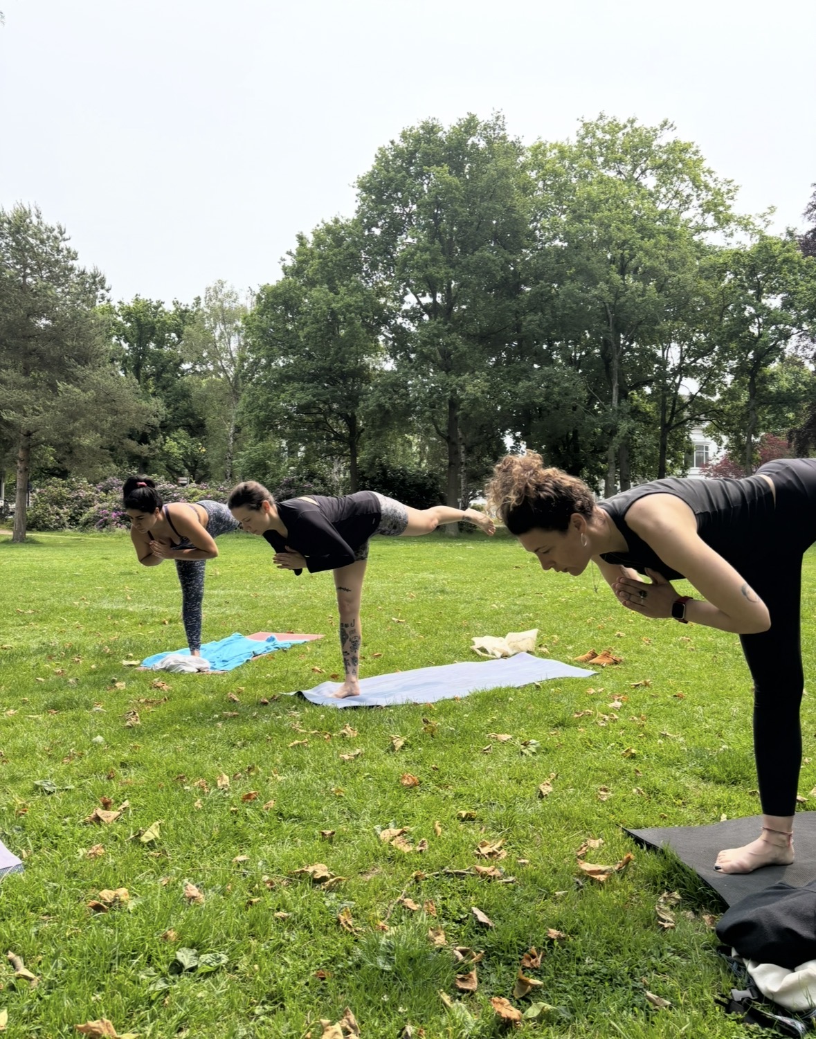 Sunday Park Yoga session 1